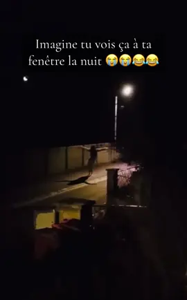 #fypシ゚viral #pourtoi 