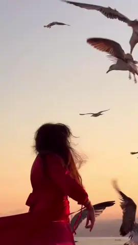 #pourtoi #fypシ #عبد_الحليم_حافظ 