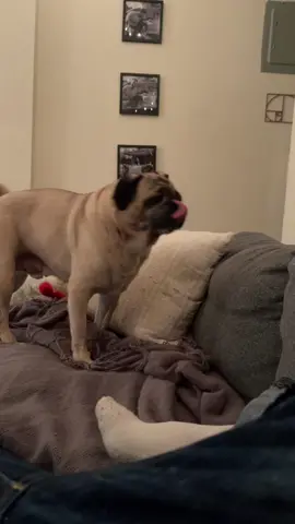 🚨THE PEAKS BECKON🚨