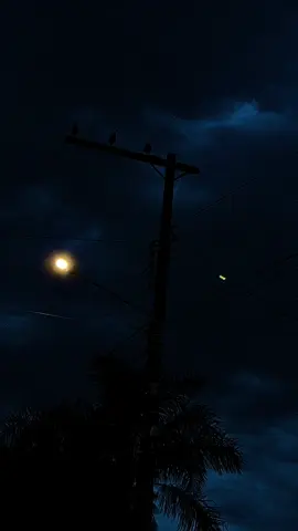 “Na quietude da noite urbana, os postes iluminados tornam-se faróis de beleza e paz.” #city #beleza #noite #viralvideo #fy #foryou #poste #luz 