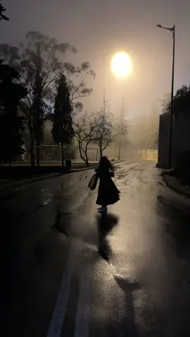 #اكسبلورexplore #fypシ #foryou #مطر 