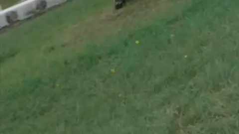 Hẹn gặp lại nhé…Vice…🥺#kamenrider #xuhuong #Bkriden #xuhuong2024 #newtrend #kamenriderrevice #tapcuoirevice 