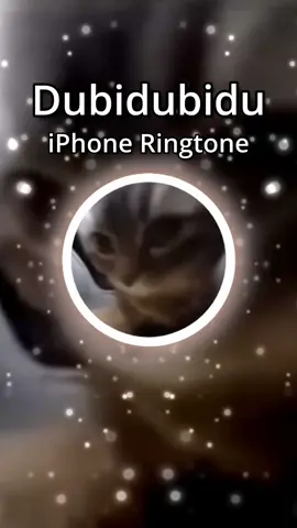 Dubidubidu (Chipi Chipi Chapa Chapa) - Christell - iPhone ringtone #catmeme #chipichipichapachapadubidubidabadaba  #cat 