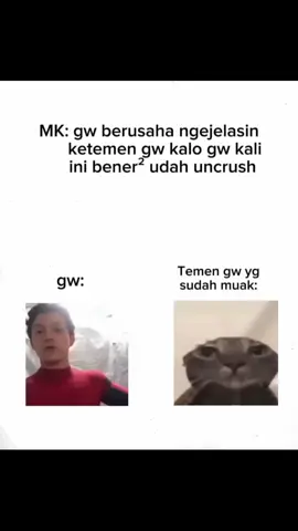 hehe, kali ini serius kok 😁 #uncrush #temen #fyp #meme #hah #xyzbca #katakata #tiktok #tiktokshop #moots? #anime 