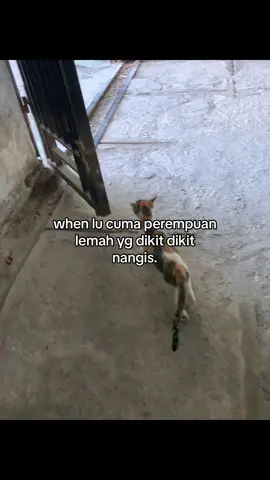 #untukkamu 
