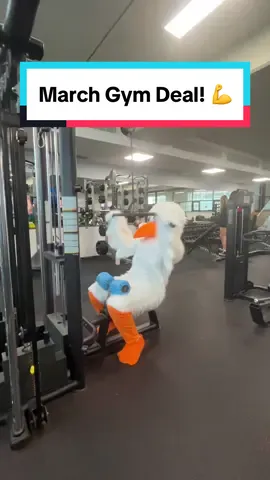 It's not too late to take advantage of our March Gym Deal!  Are you staying in Plymouth over the Easter break and searching for an excellent value gym membership to carry you through to the end of the academic year? If so, take advantage of our March offer. Sign up at any time during March and receive three months of membership for the price of two! 💪👟 Visit the link in our bio for more information!  #sugym #upsu #studentsunion #studentsuniongym #uni #studentdeals #plymouthuniversity #newyear #gym #Fitness #newyeargymdeal #healthandfitness #plymouthgym