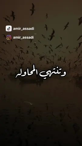 نهاية المحاولات: توقف عن الانتظار ومراقبة الحياة مع السلامه للابد حين يصل الألم إلى أقصى حدوده، تتوقف المحاولات وتموت المشاعر. ينتهي الانتظار وتتوقف المراقبة. ارحل بسلام وابقى في سلام، لن يبقى شيء يجعلني أنتظر أبداً.