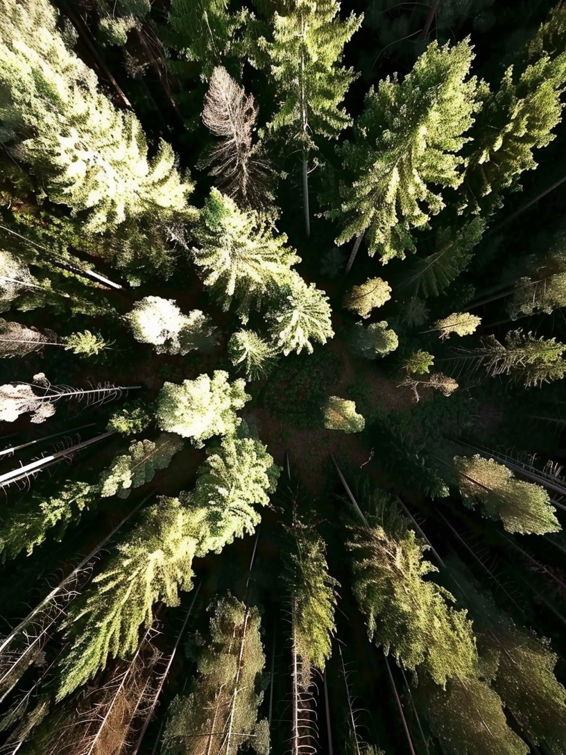 How much breathable oxygen is available on Earth? Could we someday run out of breathable oxygen? #Science #Research