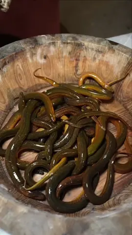 #Foodie #fyp #foryou #viraltiktok 