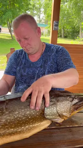 🐟ЩУКА-ХОЛОДНОЕ КОПЧЕНИЕ ✍️ВАШИ ЗАЯВКИ #рыба #щука #рыбалка  #холодноекопчение  #доставка #еда