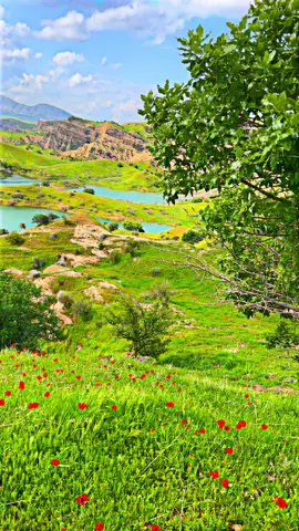 #لايكو_فولومان_بكه_ن_سوپاس___تان_ده_كه م#دلن بئجيا وه زي#