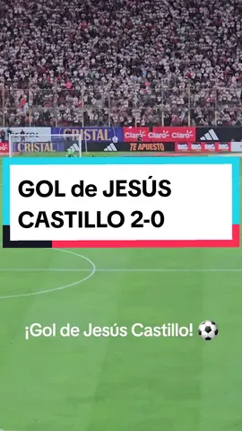¡ #GOL de #Jesuscastillo y pone el 2-0 en el #Perú vs #RD ! #futbol⚽️ #tiktoker #fyp #tiktok #viral #tendencia #parati 