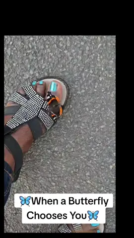 It's a Wonderful Feeling helping a Butterfly to fly. #butterfly #happiness #fly #tiktokviral #fyp #fypシ #foryourpage #foryourpage #trending #tiktok #tiktoktrending #strength 