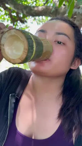 Girl drinking bamboo juice #camping #bushcraft #Outdoors #survival#tiktok #usa_tiktok 