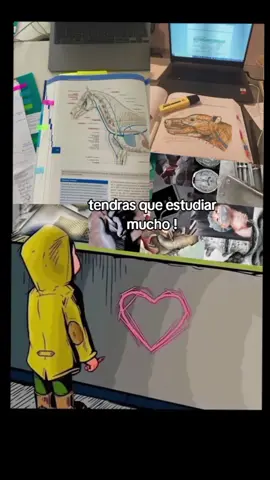 #paratii #parati #medicinaveterinaria #veterinario 