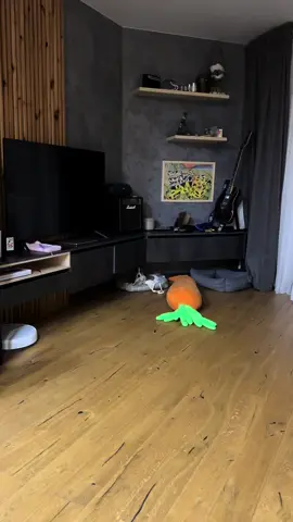 Смотреть до конца 😂#прикол #собака #джекрассел 