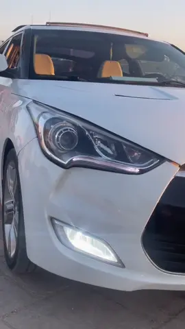 وين شفتوها اخر مره😂😂#بنغازي_ليبيا🇱🇾 #benghazi❤️✈️ #ليبيا_طرابلس_مصر_تونس_المغرب_الخليج #شعب_الصيني_ماله_حل😂😂 #طرابلس #ليبيا #فينيسيا 