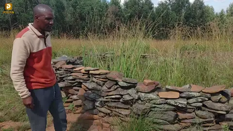 Ancient Stone Ruins In Mpumalanga