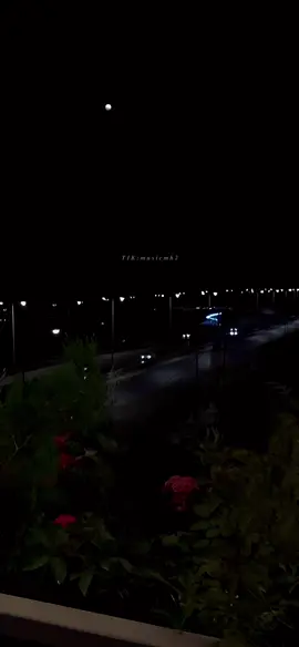 حد عايز اعيش معاه لآِخر سِنيني! ❤️✨ #رامي_جمال #اوعديني 