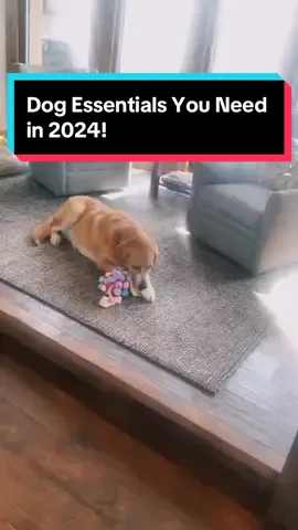 Willow loves her snuffle ball! It’s a great toy for mental stimulation. If you are looking for a toy to help tire your dog out and keep them busy, consider the snuffle ball. Mental stimulation is so important for doggos! Our snuffle ball is on sale for just $14.39 as part of the TikTok Shop Spring Sale. Make sure to claim your TikTok funded coupons for the Spring Sale to get the snuffle ball at an even lower price! Product link below. ⬇️   #dogtoystokeepthembusy #interactivedogtoys #tiktokshopsale2024 #tiktokshopspringsale #tiktokshopspringsaledeals #tiktokshopshortvideochallenge #tiktokshopshortvideo #pettoys #dogsnuffleball #dogsnufflemat #noseworkdog #snufflemat #dogloversoftiktok  #dogtoysyouneed #dogessentials2024  #tiktokshopdogtoys #dogtoybox #tiktokmademebuyit #viraldogtoys  #dogenrichmenttoys #dogpuzzle #dogpuzzlefeeder #snufflingtoys #naturalforagingskillstraining #dogsniffingtoys #dogstuff #labsoftiktok #girlydogfinds 