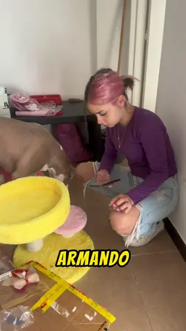 REGALOS A MIS GATOS🥹 @HappyandPolly 