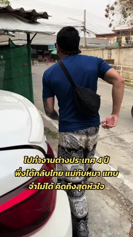 ไปทำงานต่างประเทศมา 4 ปี เป็นเวลาที่ยาวนานมาก คิดถึงบ้าน #คิดถึงบ้าน  #หนาวแสงนีออน  #เชียงใหม่ 