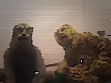 #شێرەکەی بازیان 🤣#daijil21 #foryou #fyp #mama_edit0 #aktiv #brand #london 