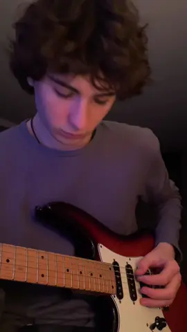 lonely day #soad #lonelyday #systemofadown #guitar #fyp #foryou 