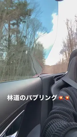 #ヒカキンボイス #jaguar #jaguarftype #Fタイプ #車好きと繋がりたい #バブリング #山中湖 