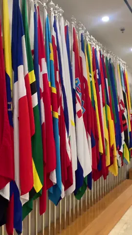 hi Indonesian people, i’m ready to serve you as your own diplomat HAHAHAHA 🙌🏻🇺🇳 #kemenlu #diplomat #internship 