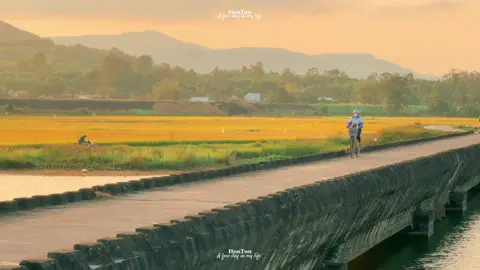 Người ta mơ về phố thị, tôi mơ về….miền quê. Tôi thích những chiều buông lang thang đây đó khắp đồng quê thả hồn thong dong rồi lặng yên ở một góc nào đó, ngẩn ngơ nhìn ánh chiều tà rơi rớt bên kia phía chân trời. Tôi thích quê tôi, nơi mà chỉ cần tưởng tượng cũng có thể nghĩ ra được mọi ngóc ngách của cánh đồng, nơi mà chỉ cần nghĩ thoáng qua tôi cũng phải mất vài giờ đồng hồ để ngớ ngẫn nhớ về tuổi thơ của mình. Và rồi…….đó cũng là nơi người ta thường mơ về phố thị, người ta chấp nhận rời xa để tìm kiếm những vùng đất mới, những cuộc sống mới. Tôi thường nhớ tuổi thơ của mình, tôi nhớ đến mức muốn gom hết thảy ánh nắng của hoàng hôn đem đi bán chỉ để mua được chút tuổi thơ….Ờ, mà có ai bán tuổi thơ đâu nhỉ .? Những bộn bề cuộc sống, đôi khi cuốn thước phim ký ức ấy vào một miền xa xăm trong tâm trí. Tự hỏi có bao giờ bạn mơ về nó chưa. Năm năm sau, mười năm sau, hay bao nhiêu năm sau nữa, có giấc mơ nào lại bỏ quên?