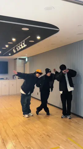 Obsessed with 🐺🐿🐶 #StrayKids #스트레이키즈 #방찬 #BangChan #한 #HAN #승민 #Seungmin #YouMakeStrayKidsStay 