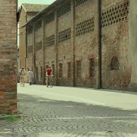 It's been a long time #callmebyyourname #callmebyyournameedit #cmbyn #cmbynedit #timotheechalamet #armiehammer #elioperlman #oliver #mysteryoflove #sufjanstevens #1980s #1980 #1980svibes #1980saesthetic #italy #boyslove #movieclips #movie #moviescene #film #filmclips #edit #fyp #foryoupage 