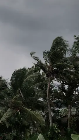 Ada pun makna dari lagu VICTIM tersebut,merupakan sebuah lagu tentang perjuangan yang diiringin dengan ketidakpuasan,kegelisahan hingga perasaan yang tak jelas seperti apa ~ #victim #avengedsevenfold #vibes #4u 