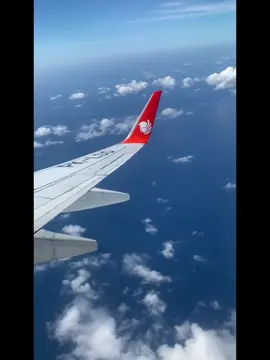 kota yang nantinya bakal buat rindu ters 🫶🏻🫶🏻 #landing👩‍✈️🛬 #lionair #pesawat #2024 #yogyakarta #jogja24jam 