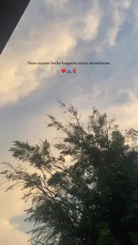 #mysaviourlivesministries #tamilsongs #swarnalatha #jesusforall 