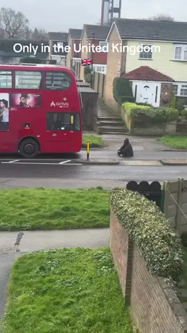 Whatever it was.. it's never that serious to be sitting on the damn road