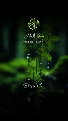 اوخر سورة الرحمن القارئ اجزوني إبراهيم طلب بسيط جدا اشترك بقناة اليوتيوب الرابط في الصفحه#coran_karim #تلاوات_خاشعه #qoran #اجزوني_ابراهيم #اجزوني_ابراهيمي #القران_الكريم #tiktok_1quran #الروح_المبين♡#احمد_النفييس 