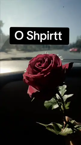 #tiktok #shqipetntiktok #videoviral #lyrics #fypシ #videoedit #Love #foryoupageofficiall #viral #video 