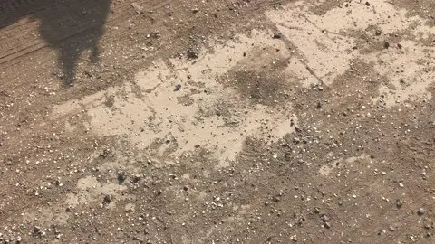 còn mấy năm nữa là ae hết thời hc sinh rồi🥰🥰🥰#sirusdokieng #xh #trending #71bentre_xinchao🌴 #fyp #xedovietnam 