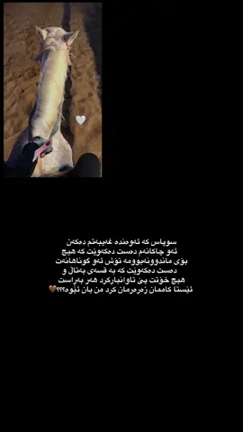 من یـان ئێوە💔'#حسبی_الله_ونعم_الوکيل #الهم_صلي_على_محمد_وأل_محمد #المکہ_المکرمہ_الحرمین_الشریفین🌹🕋🌹🕋 