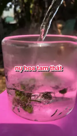 Nụ hoa tam thất và cách dùng #nuhoatamthat #nongcamquynh