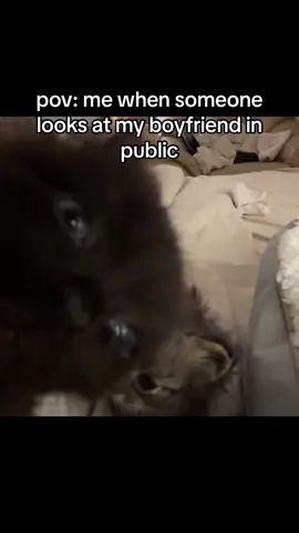 relatable! 😂 ( video via @Noble Purr ) #relationships #relationshipmemes #girlfriend #boyfriend #memes  @Noble Purr 