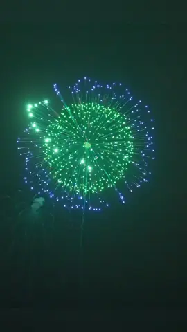 Worlds Biggest Firework Bombs!🔥💥 #fireworks #firework #feuerwerk #fuegosartificiales #fyp #foryou #fireworkshow #pyro #pyrography #fireworkshell #pyro4life 