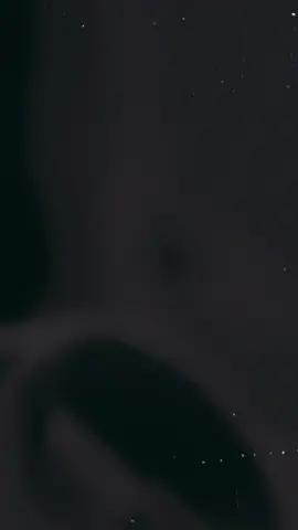 Bella’s wake up mantra! #pitbullsoftiktok #dogsofttiktok #CapCut 