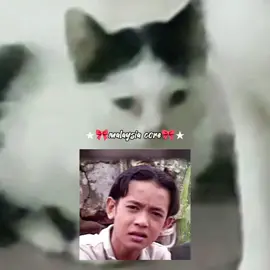 malaysia core 20 . 📹: owner, vehgihnuh, ayunadira9544, jiwanglara01, ramadanrmli . #malaysiacore #malaysia #viral #meme #lawak #fyp #fypシ 