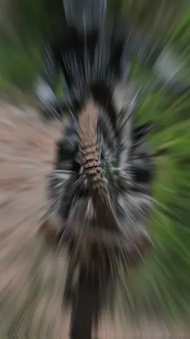 LATEMMAMALA 8 ONE DAY TRAIL ADVENTURE 2024  SALAM SATU JALUR 🤝💨 #ayokesoppeng #adventure #soppeng #trail #trailnusantara #trailsulawesi #trailindonesia #trabas #adventureindonesia #gaspol  #sulsel 