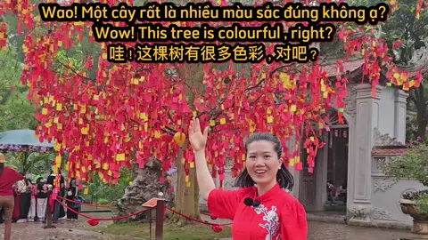 Ai đã từng viết điều ước lên cây rồi ????
