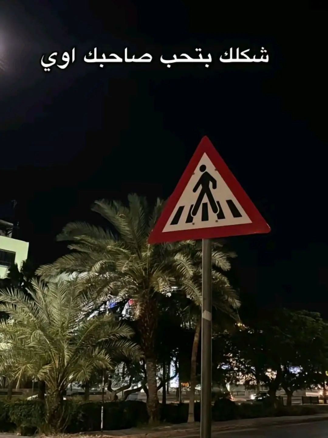 #منشن_للي_تحبه #foryou #حافظ_علي_صحبتك_اصل_الزمن_قلاب #foryou #fypシ #الشعب_الصيني_ماله_حل😂😂 