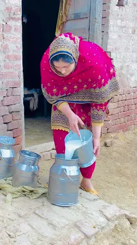 Milking time #azraimran51 #azraimran #imranmangat #foryou #onemillionaudition #foryoupage #trending #uktiktok #tiktok 